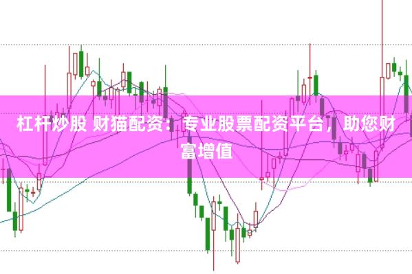 杠杆炒股 财猫配资：专业股票配资平台，助您财富增值