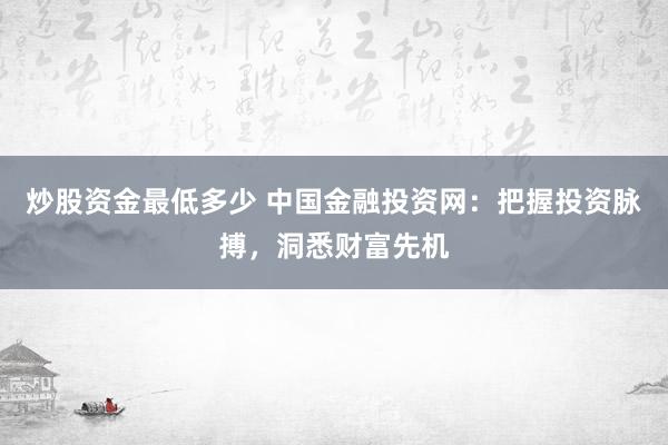 炒股资金最低多少 中国金融投资网：把握投资脉搏，洞悉财富先机