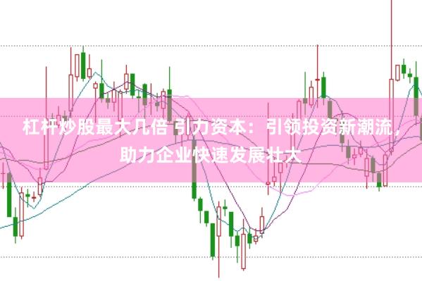 杠杆炒股最大几倍 引力资本：引领投资新潮流，助力企业快速发展壮大