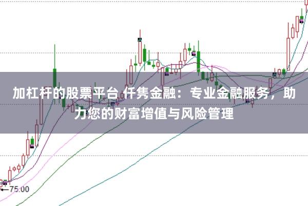 加杠杆的股票平台 仟隽金融：专业金融服务，助力您的财富增值与风险管理