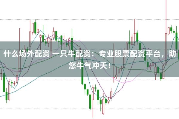 什么场外配资 一只牛配资：专业股票配资平台，助您牛气冲天！