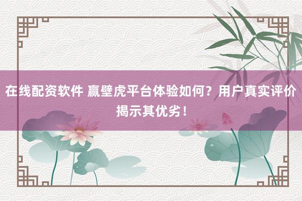 在线配资软件 赢壁虎平台体验如何？用户真实评价揭示其优劣！