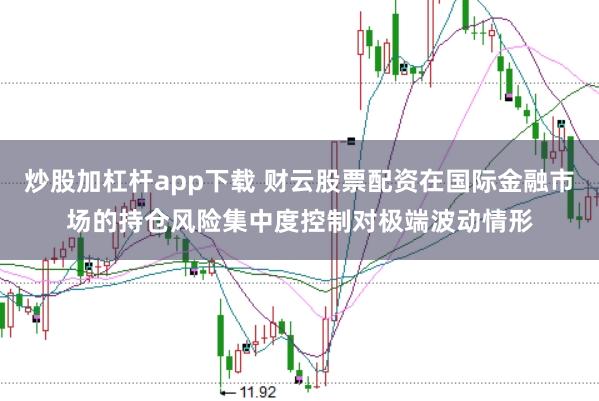 炒股加杠杆app下载 财云股票配资在国际金融市场的持仓风险集中度控制对极端波动情形
