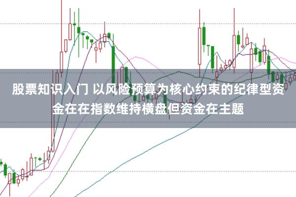 股票知识入门 以风险预算为核心约束的纪律型资金在在指数维持横盘但资金在主题