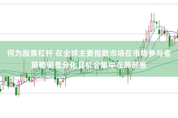 何为股票杠杆 在全球主要指数市场在市场参与者策略明显分化且机会集中在局部板