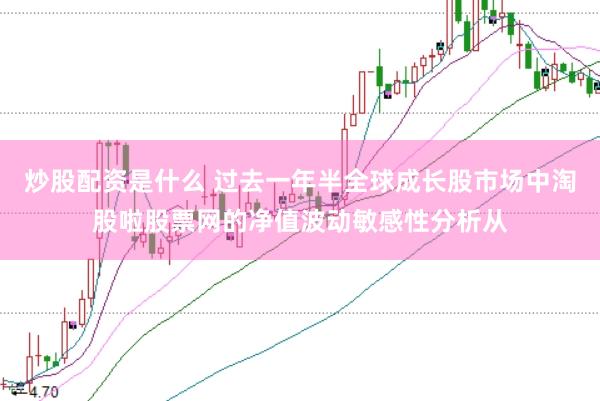 炒股配资是什么 过去一年半全球成长股市场中淘股啦股票网的净值波动敏感性分析从