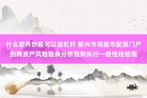什么软件炒股可以加杠杆 新兴市场股市配资门户的跨资产风险链条分析规则执行一致性检验视