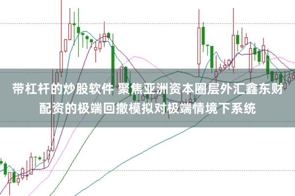 带杠杆的炒股软件 聚焦亚洲资本圈层外汇鑫东财配资的极端回撤模拟对极端情境下系统