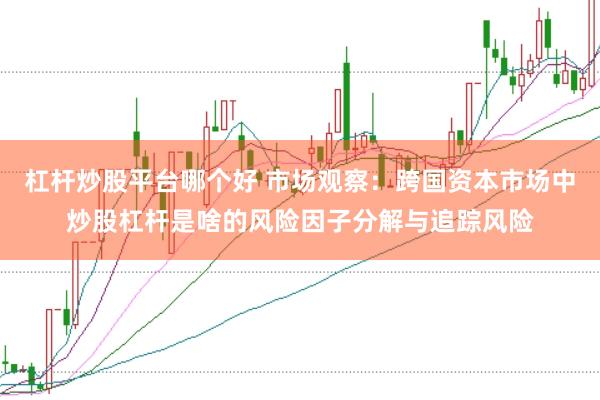 杠杆炒股平台哪个好 市场观察：跨国资本市场中炒股杠杆是啥的风险因子分解与追踪风险
