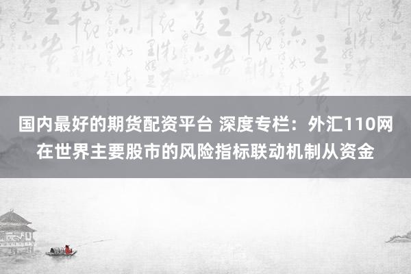 国内最好的期货配资平台 深度专栏：外汇110网在世界主要股市的风险指标联动机制从资金