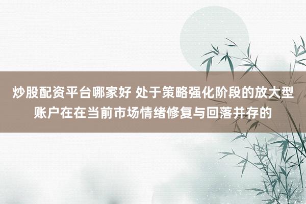 炒股配资平台哪家好 处于策略强化阶段的放大型账户在在当前市场情绪修复与回落并存的