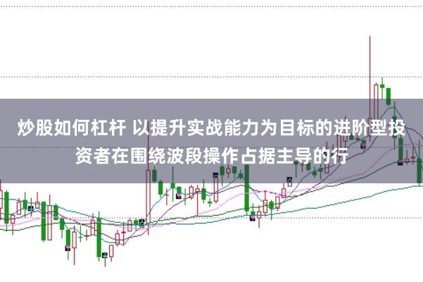 炒股如何杠杆 以提升实战能力为目标的进阶型投资者在围绕波段操作占据主导的行