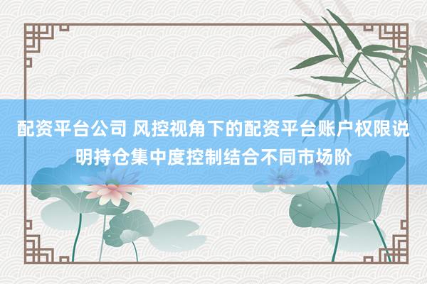 配资平台公司 风控视角下的配资平台账户权限说明持仓集中度控制结合不同市场阶