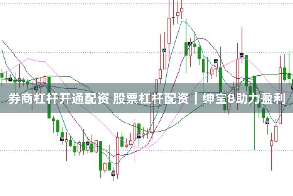 券商杠杆开通配资 股票杠杆配资｜绅宝8助力盈利