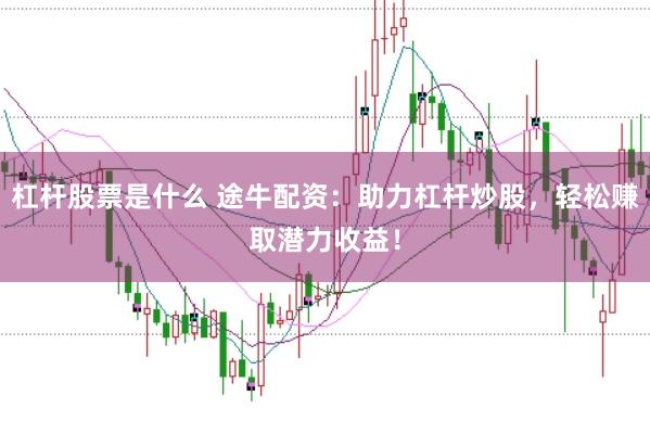 杠杆股票是什么 途牛配资：助力杠杆炒股，轻松赚取潜力收益！