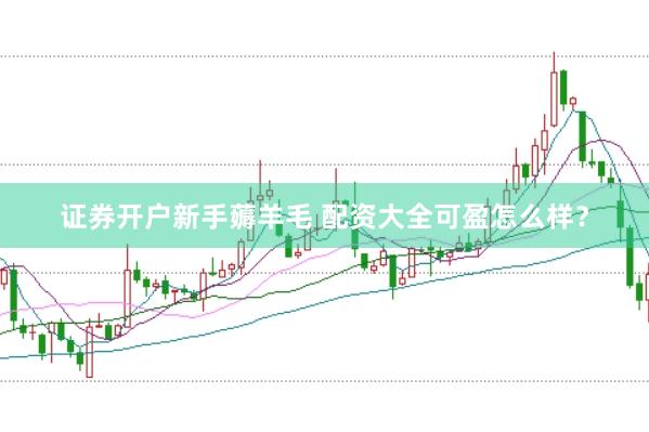 证券开户新手薅羊毛 配资大全可盈怎么样?
