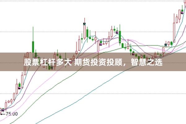 股票杠杆多大 期货投资投顾，智慧之选