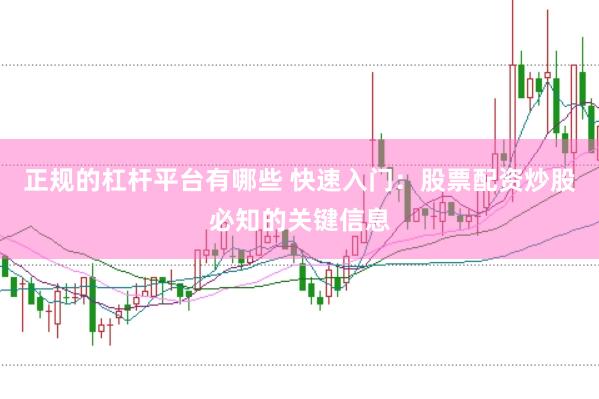 正规的杠杆平台有哪些 快速入门：股票配资炒股必知的关键信息