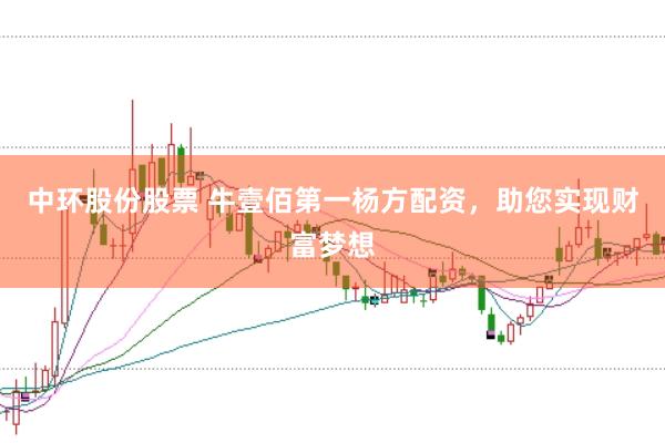 中环股份股票 牛壹佰第一杨方配资，助您实现财富梦想