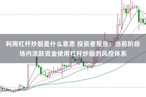 利用杠杆炒股是什么意思 投资者报告：当前阶段场内活跃资金使用杠杆炒股的风控体系